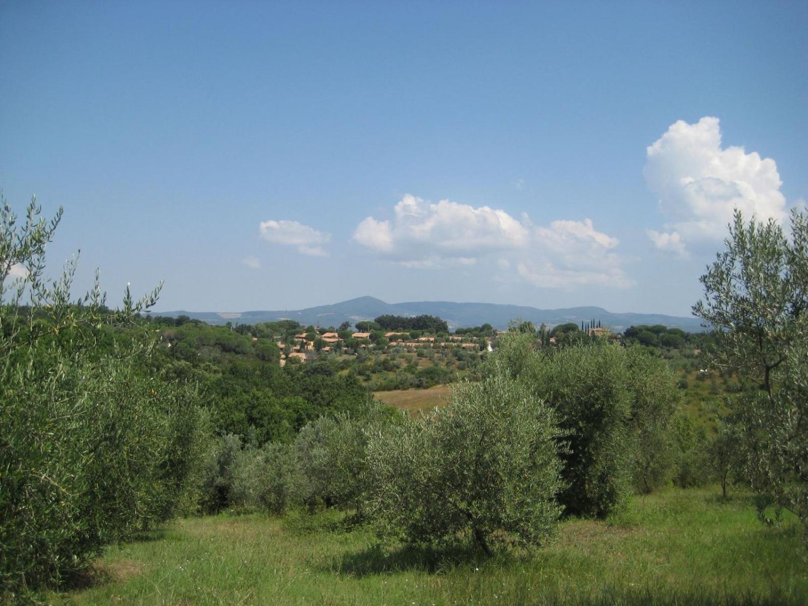 Il Borgo Centro Vacanze Guardistallo Exteriér fotografie