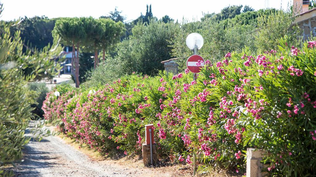 Il Borgo Centro Vacanze Guardistallo Exteriér fotografie