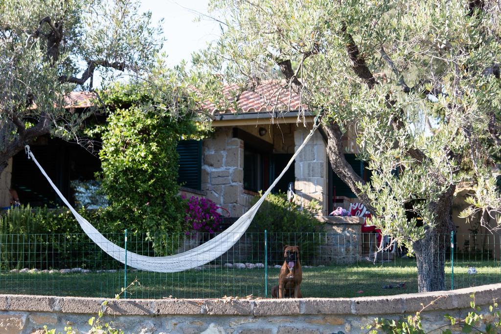 Il Borgo Centro Vacanze Guardistallo Exteriér fotografie